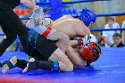  Черногорские спортсмены завоевали девять медалей на первенстве Хакасии по смешанным боевым единоборствам